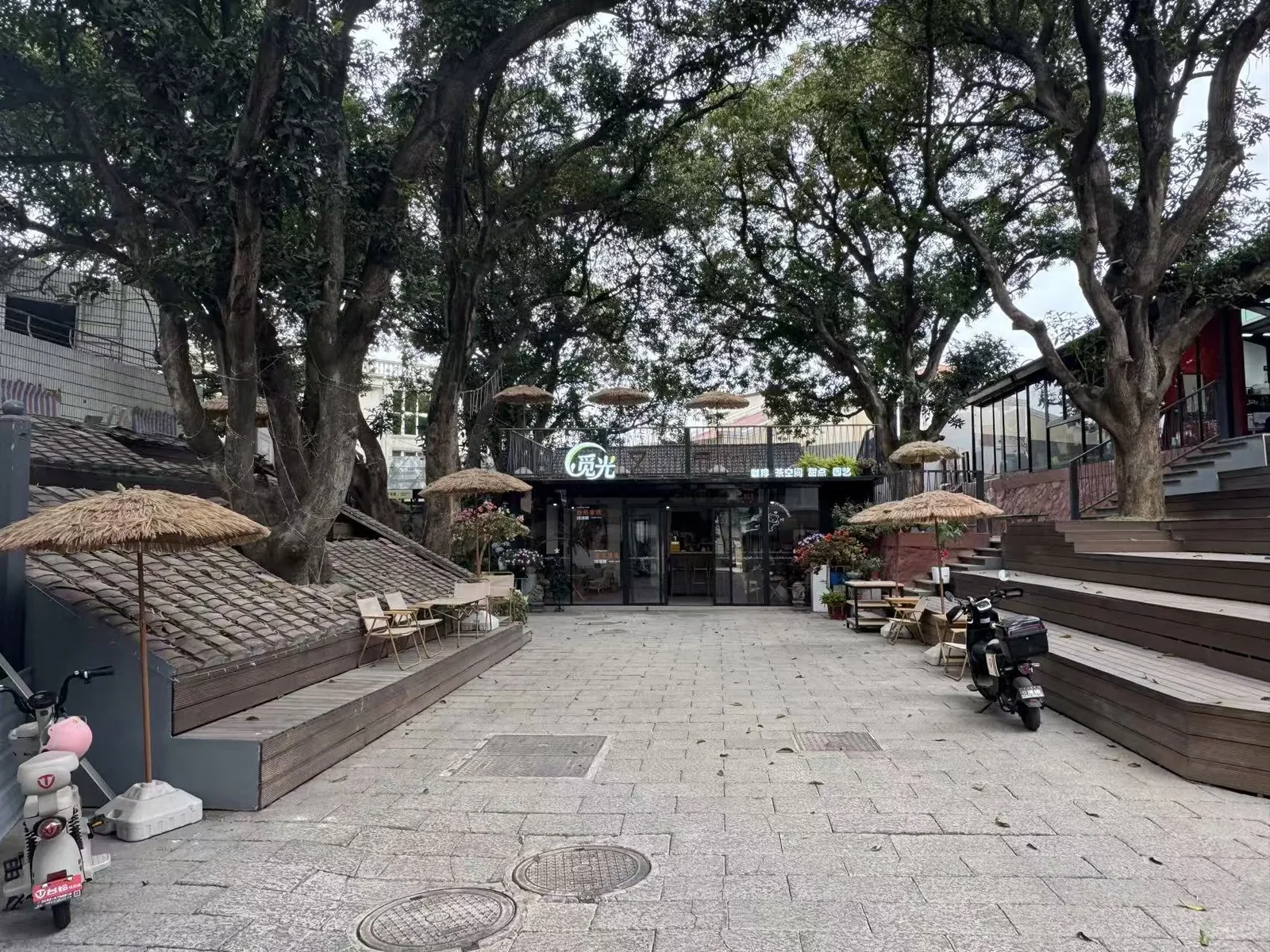 树下主通道